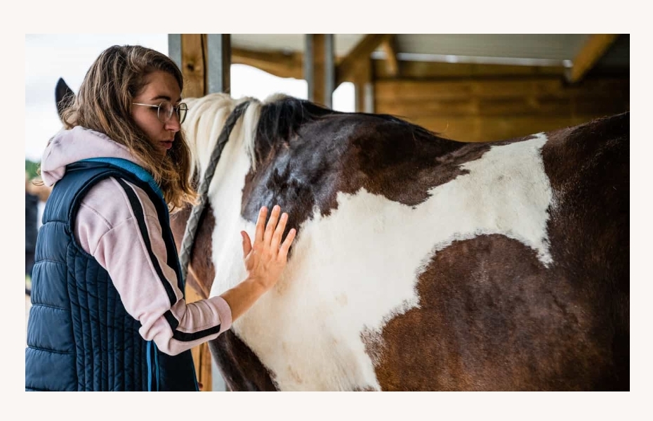 Romane Naturopathe Naturopathie équine Bien être du cheval